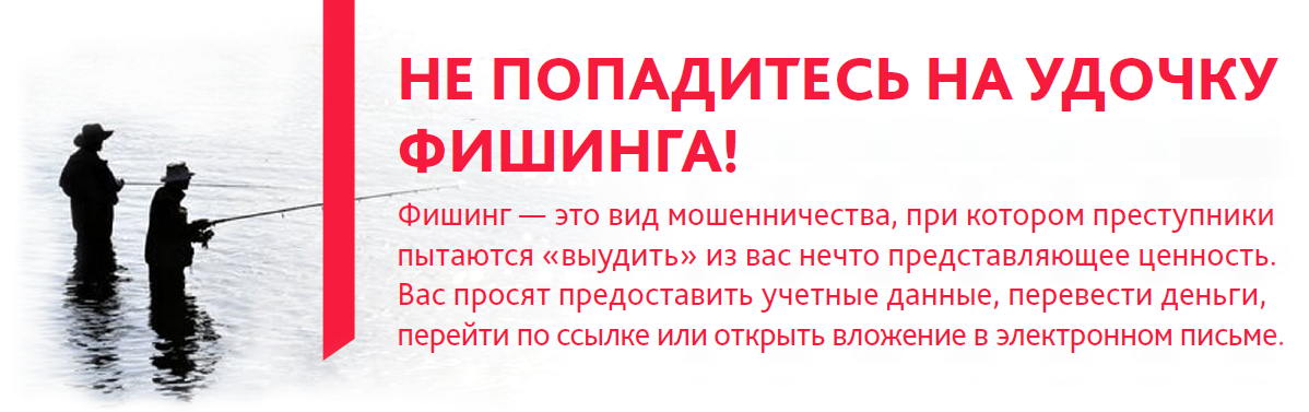 banner-fish.png