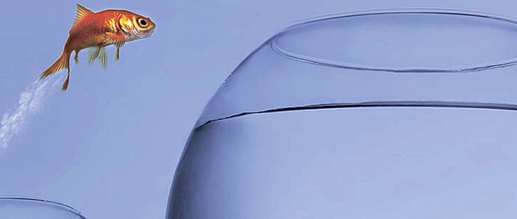 IASB выпустил поправки к IFRS 19